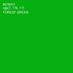 #07B011 - Forest Green Color Image