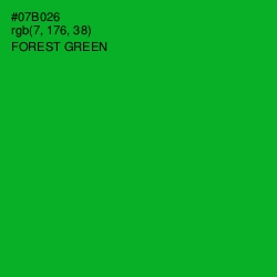 #07B026 - Forest Green Color Image
