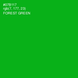 #07B117 - Forest Green Color Image