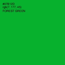 #07B12D - Forest Green Color Image