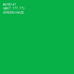 #07B147 - Green Haze Color Image