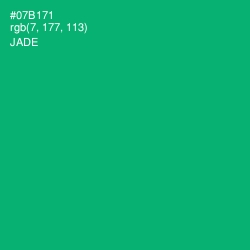 #07B171 - Jade Color Image