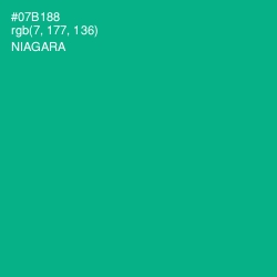 #07B188 - Niagara Color Image