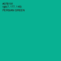 #07B191 - Persian Green Color Image