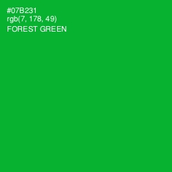 #07B231 - Forest Green Color Image