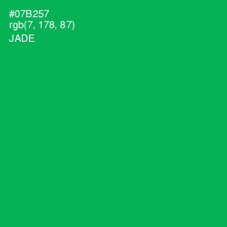 #07B257 - Jade Color Image