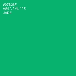 #07B26F - Jade Color Image