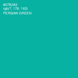 #07B2A3 - Persian Green Color Image