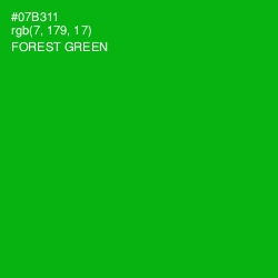 #07B311 - Forest Green Color Image