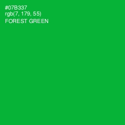 #07B337 - Forest Green Color Image