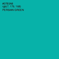 #07B3A8 - Persian Green Color Image