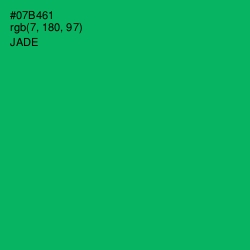 #07B461 - Jade Color Image