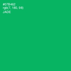 #07B462 - Jade Color Image