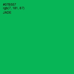 #07B557 - Jade Color Image