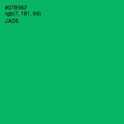 #07B562 - Jade Color Image