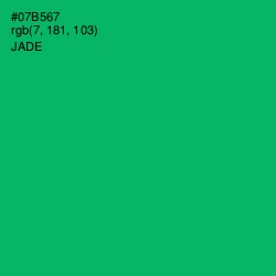 #07B567 - Jade Color Image