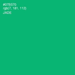 #07B570 - Jade Color Image