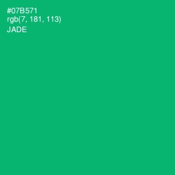#07B571 - Jade Color Image