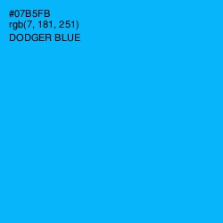 #07B5FB - Dodger Blue Color Image