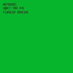 #07B62C - Forest Green Color Image