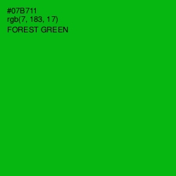 #07B711 - Forest Green Color Image