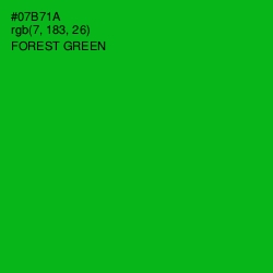 #07B71A - Forest Green Color Image