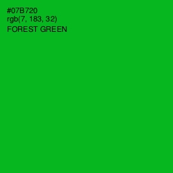 #07B720 - Forest Green Color Image