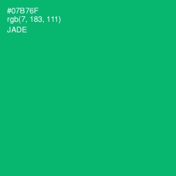 #07B76F - Jade Color Image