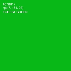 #07B817 - Forest Green Color Image