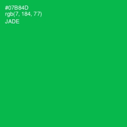 #07B84D - Jade Color Image