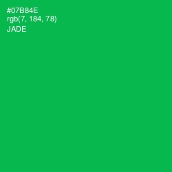#07B84E - Jade Color Image