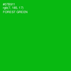 #07B911 - Forest Green Color Image