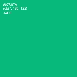 #07B97A - Jade Color Image