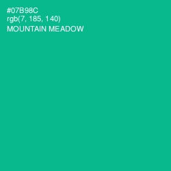 #07B98C - Mountain Meadow Color Image