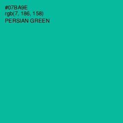 #07BA9E - Persian Green Color Image