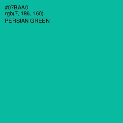#07BAA0 - Persian Green Color Image