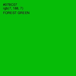 #07BC07 - Forest Green Color Image