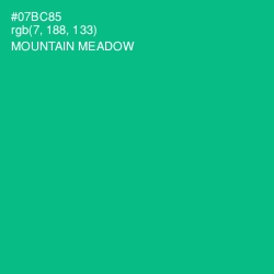 #07BC85 - Mountain Meadow Color Image