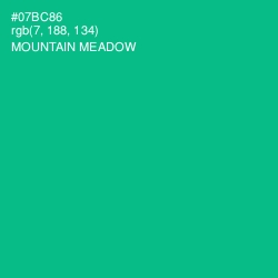 #07BC86 - Mountain Meadow Color Image