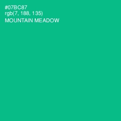 #07BC87 - Mountain Meadow Color Image