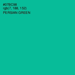 #07BC98 - Persian Green Color Image