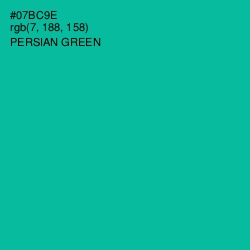 #07BC9E - Persian Green Color Image