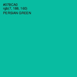 #07BCA0 - Persian Green Color Image