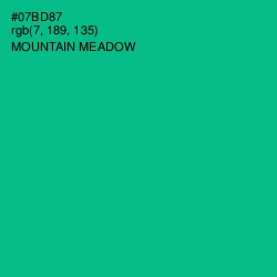 #07BD87 - Mountain Meadow Color Image