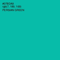 #07BDA9 - Persian Green Color Image