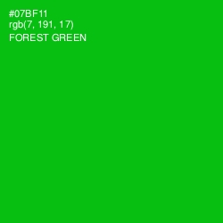 #07BF11 - Forest Green Color Image