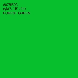 #07BF2C - Forest Green Color Image