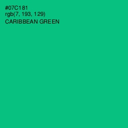 #07C181 - Caribbean Green Color Image