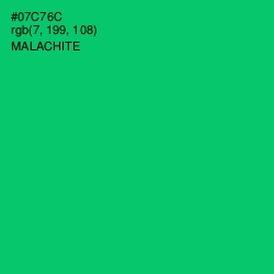 #07C76C - Malachite Color Image