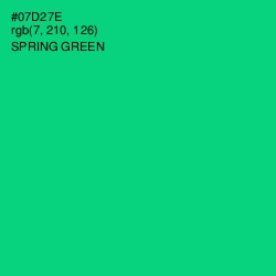 #07D27E - Spring Green Color Image
